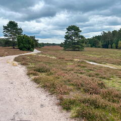 23-09-18 13-30-12 7043